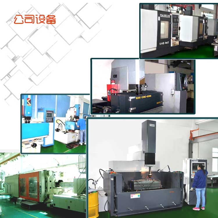 精（jīng）密模具公司F1